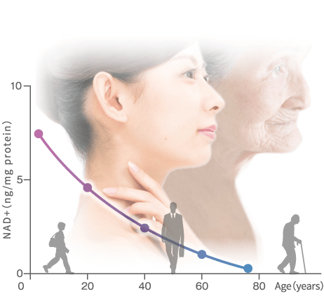 身体機能が低下し、老化に関連するグラフ