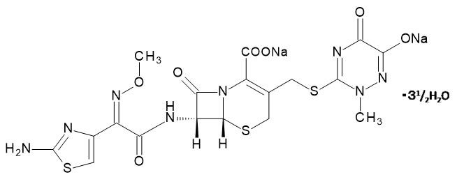 Ceftriazone